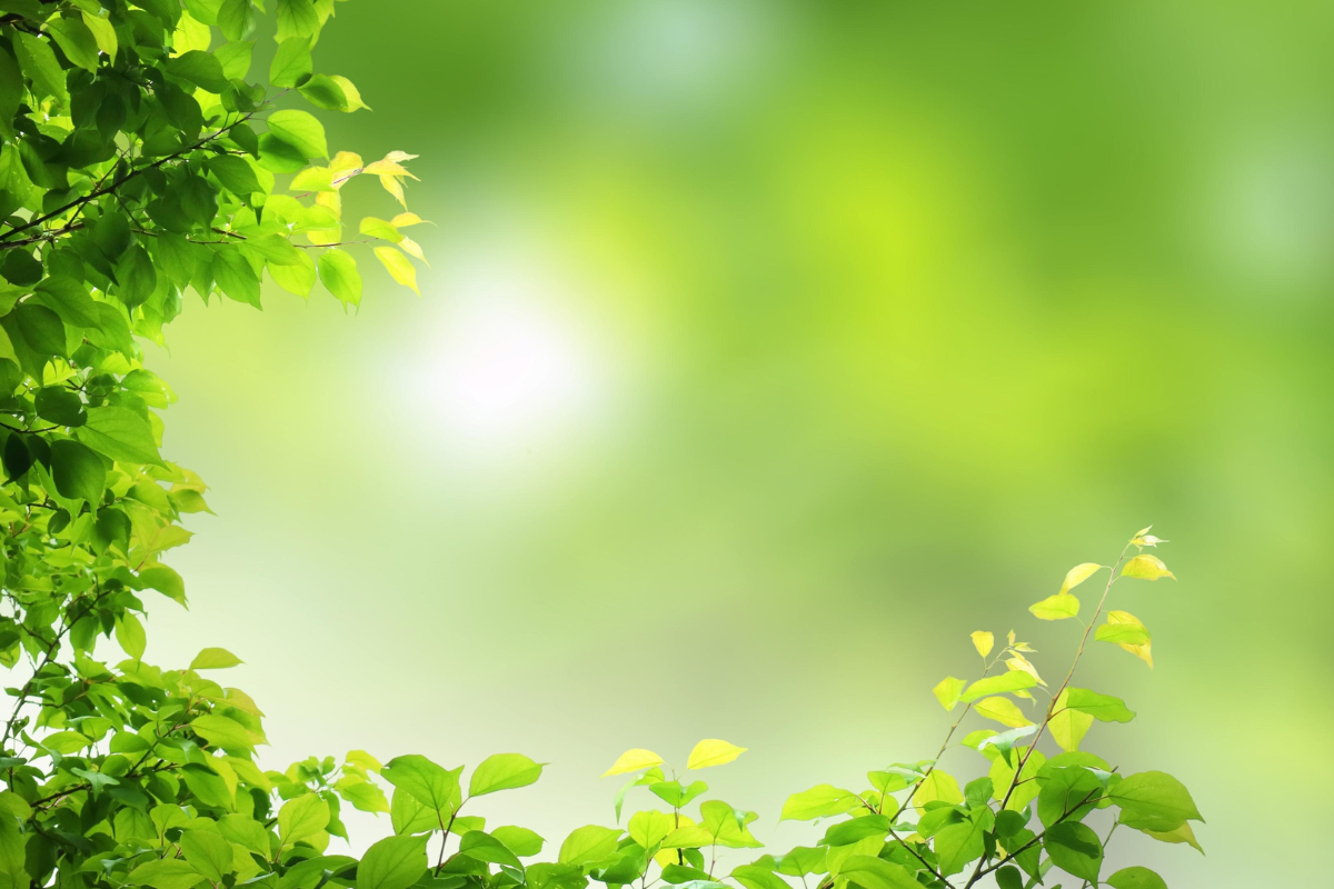 Um caminho bem cuidado através de um campo sereno sob um céu azul, simbolizando uma vida abençoada e guiada por Deus.