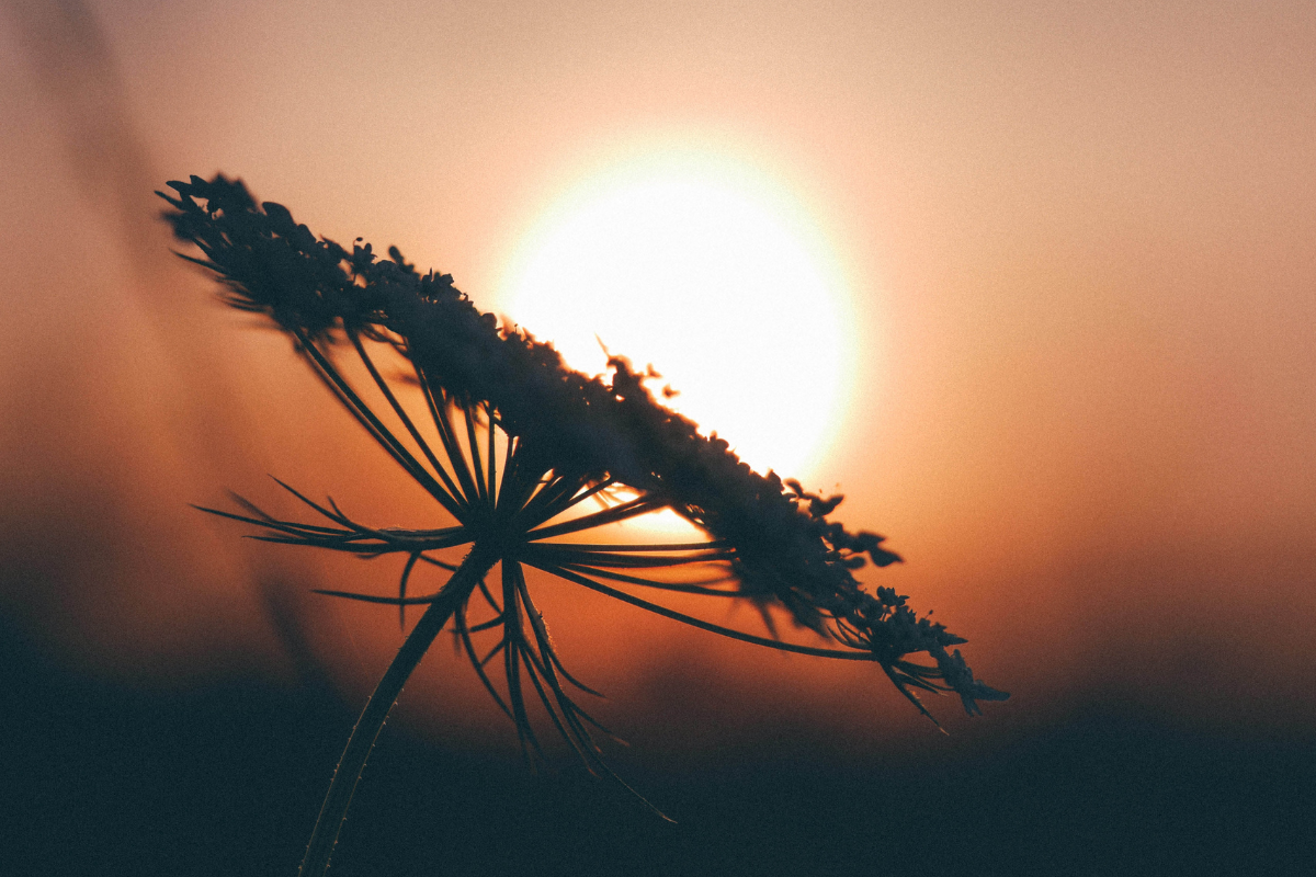 Imagem de uma montanha rochosa enfrentando ventos fortes, simbolizando resiliência e força em meio às dificuldades.