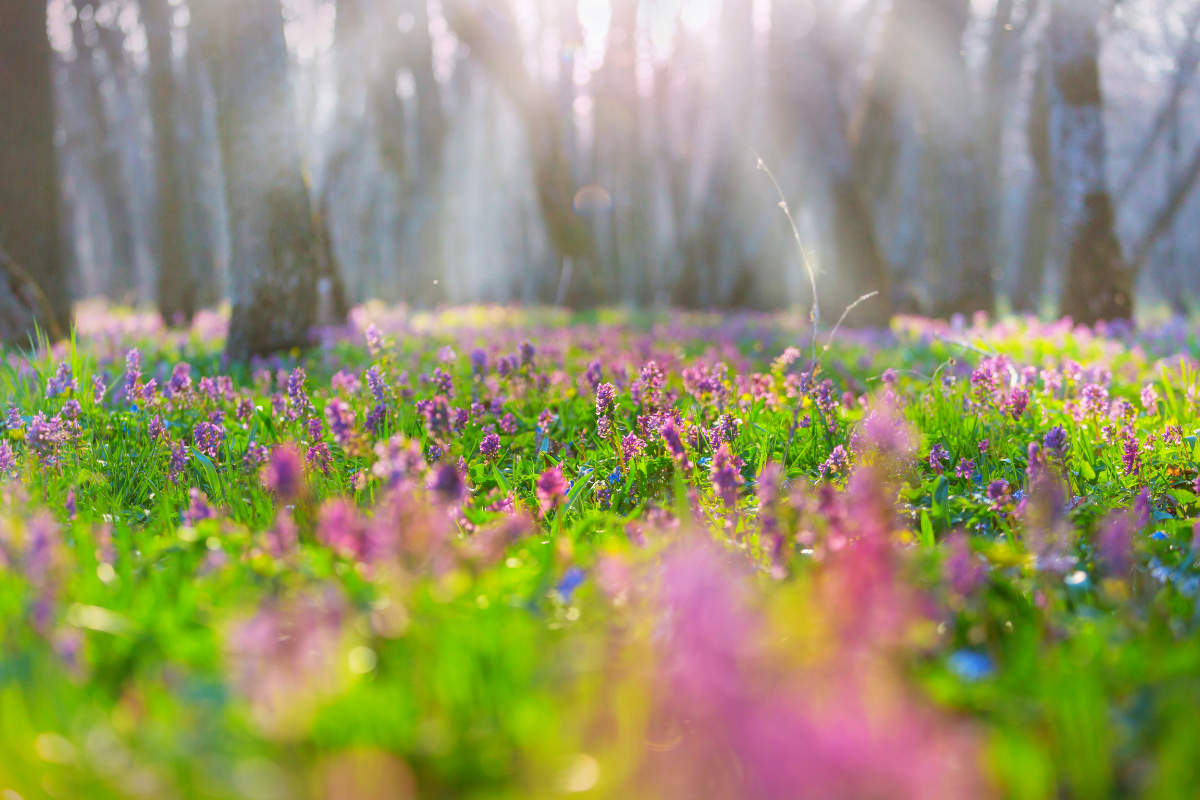 Uma meditação sobre a unidade e a diversidade de dons no corpo de Cristo, conforme Romanos 12:4-5.