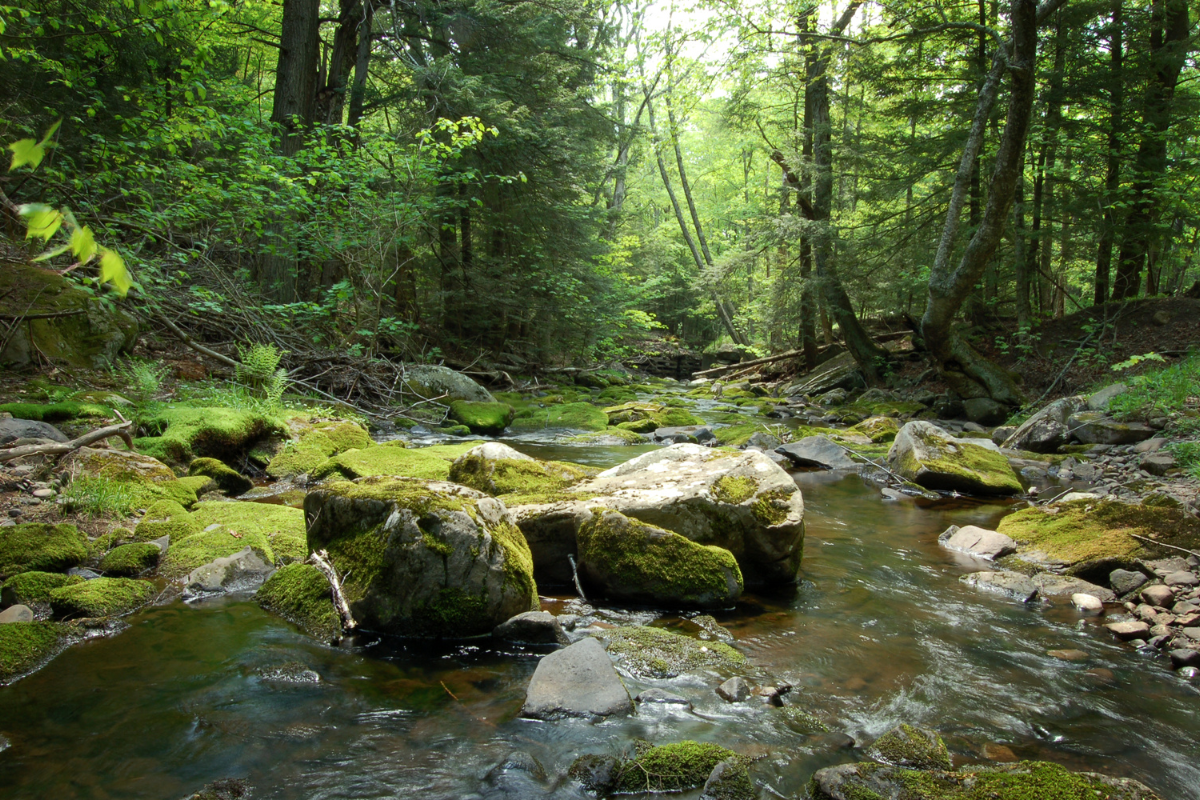 Uma reflexão sobre o valor do coração para Deus e como Ele vê além das aparências.