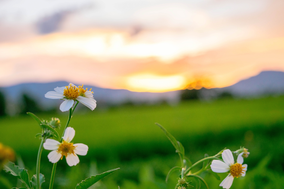 Imagem que transmite tranquilidade e entrega, simbolizando a paz encontrada ao depositar as preocupações em Deus através da oração.