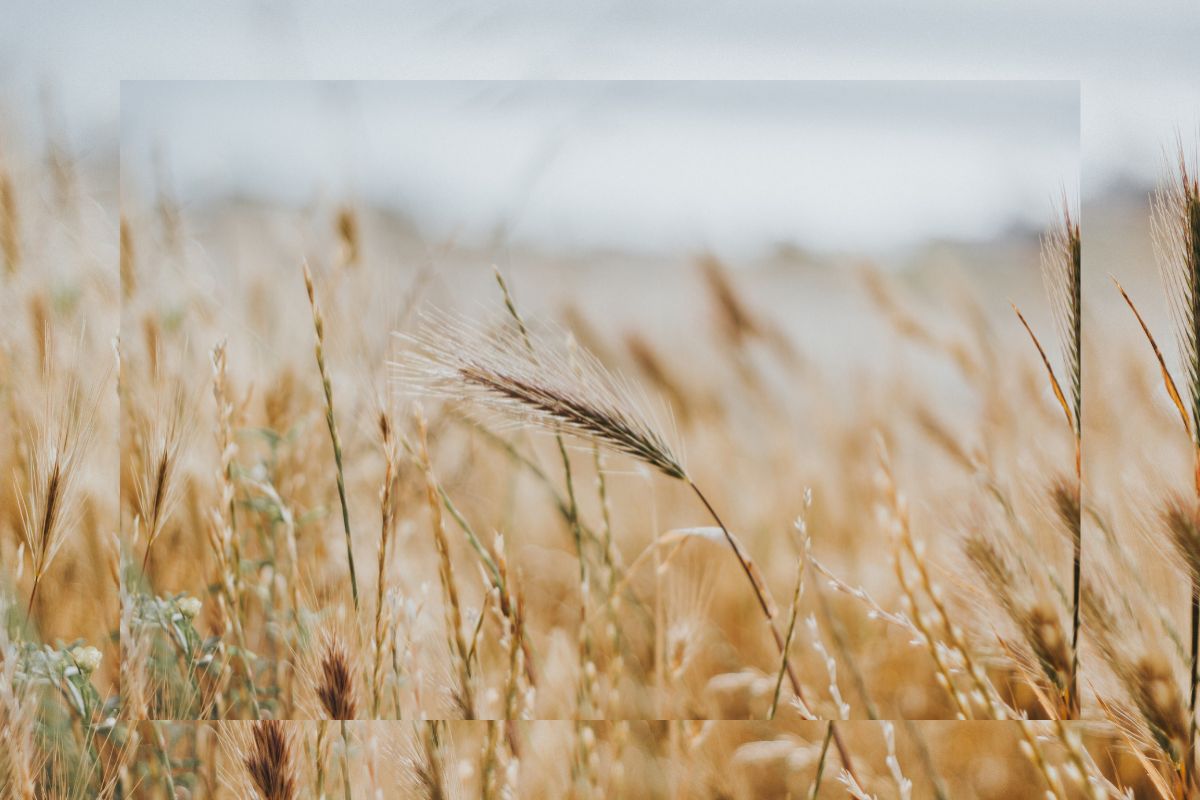 A representação da busca por sabedoria divina e a escuta atenta à voz que traz direção.