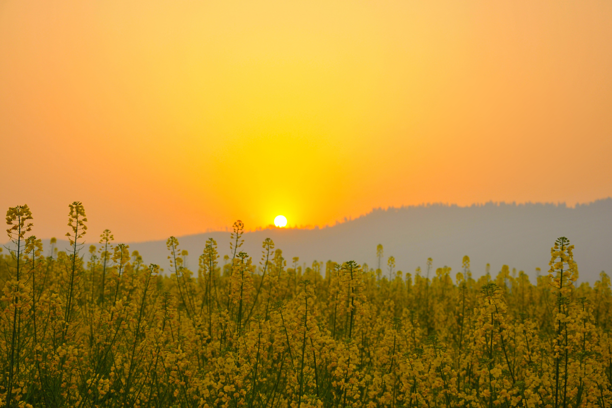 Uma ilustração da encruzilhada da vida, onde escolhas levam a destinos diferentes.