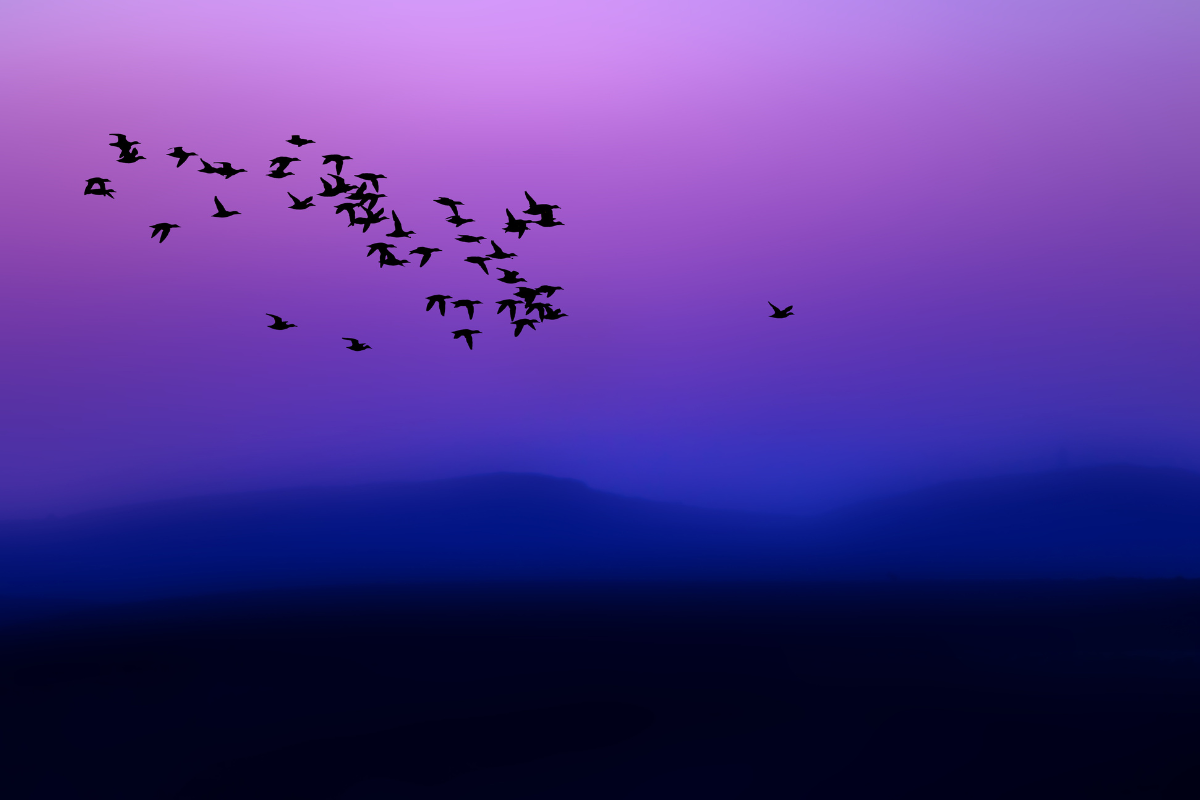 Uma ilustração que contrasta a simplicidade com a opulência, focando na paz interior.