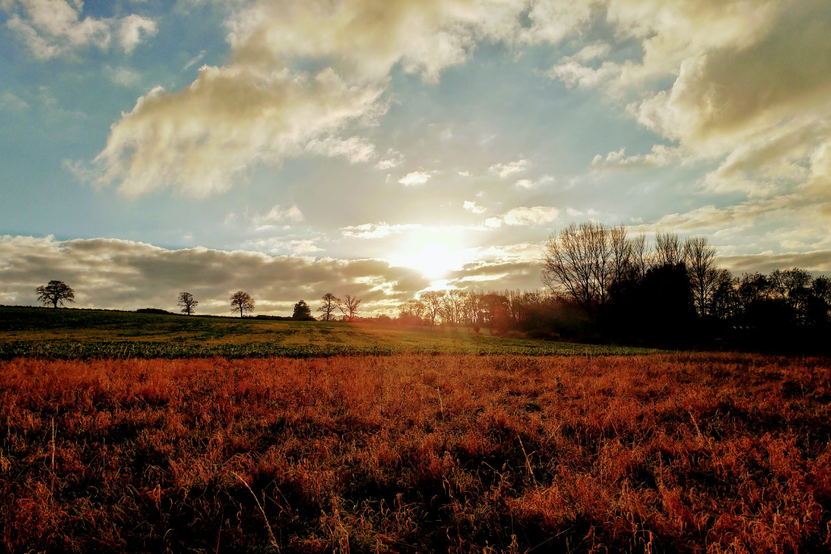 Uma representação visual da generosidade e do transbordar de recursos, simbolizando o ciclo de dar e receber bênçãos.