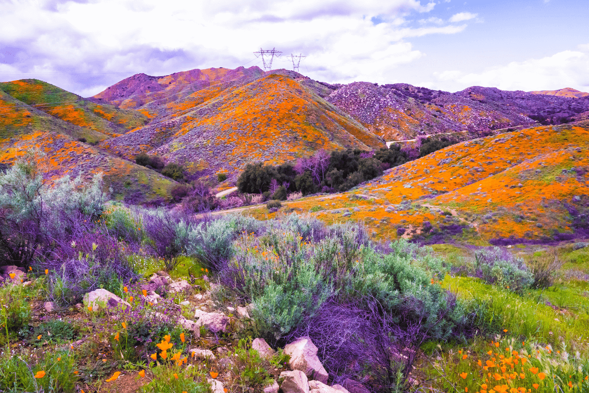 Cenário natural de uma montanha ao nascer do sol, com raios de luz filtrando entre as nuvens e uma vegetação exuberante.