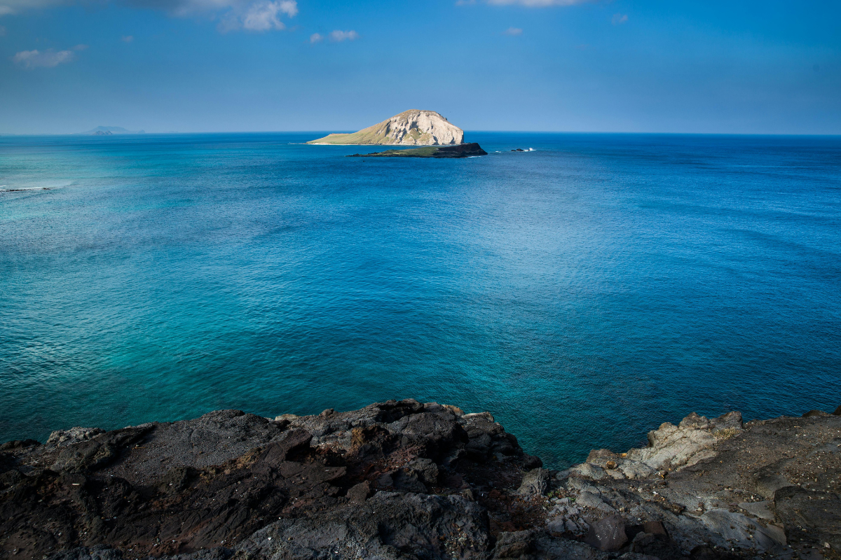 Uma reflexão sobre a capacidade de encontrar alegria e exultar em Deus mesmo diante das maiores adversidades e perdas.