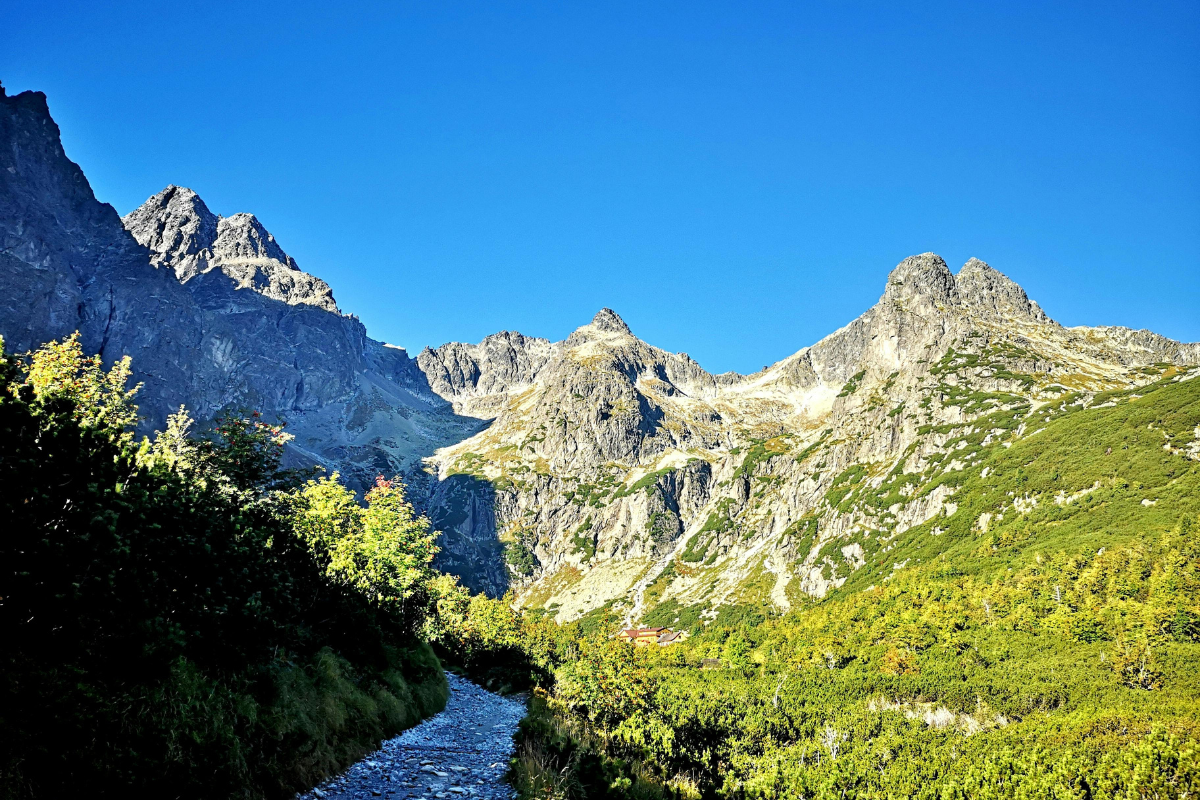 Uma reflexão sobre a bondade e a generosidade de Deus como Pai, que concede boas dádivas aos Seus filhos.