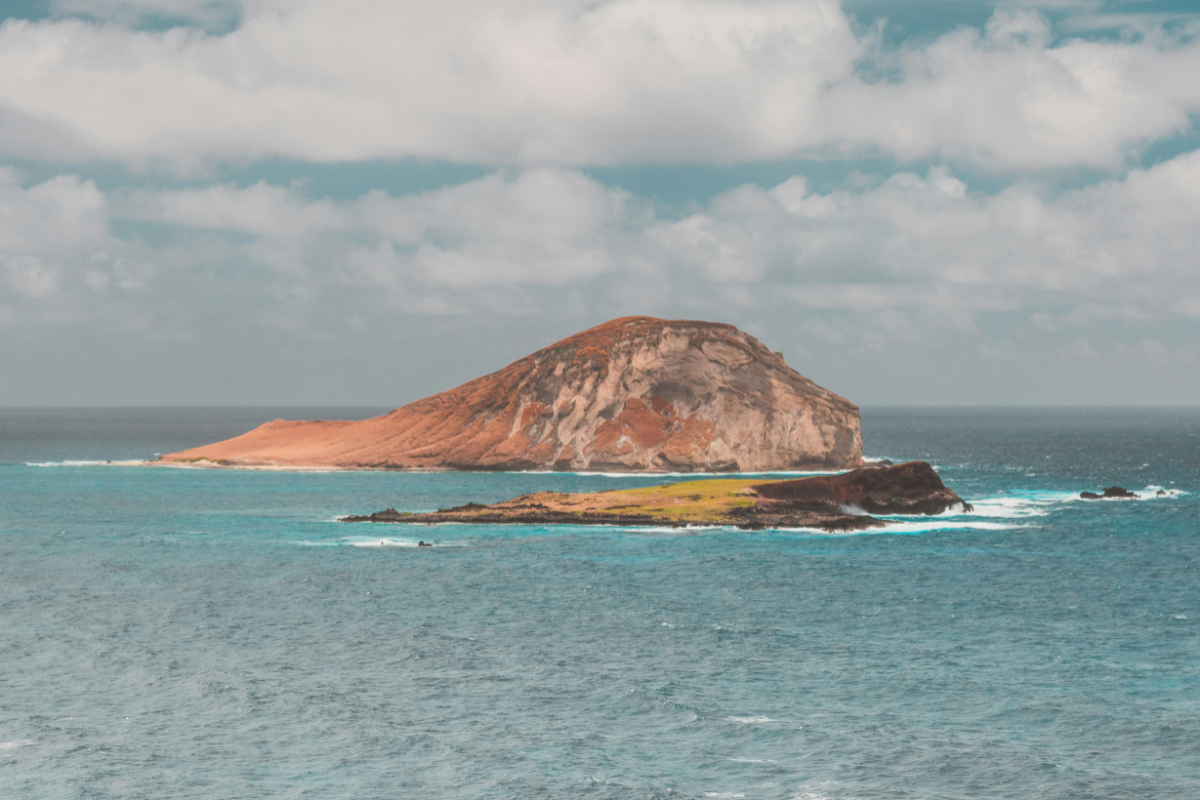 Uma reflexão sobre a segurança e a provisão que Deus oferece como o bom Pastor, cuidando de Suas ovelhas.