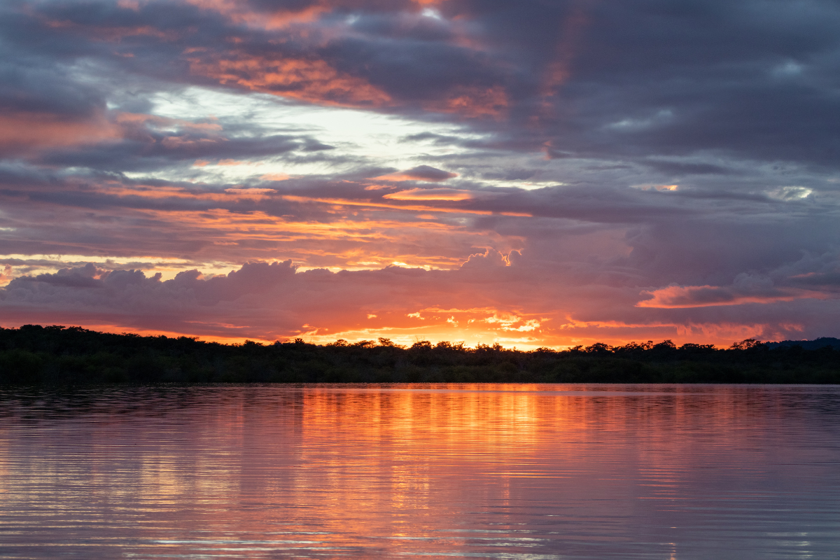 Uma reflexão sobre o clamor sincero por misericórdia divina em tempos de solidão, aflição e oposição, buscando o perdão e a proteção de Deus.