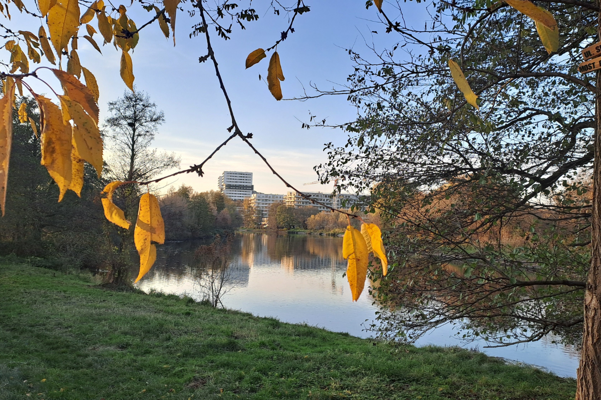 O Vigor na Prática do Bem