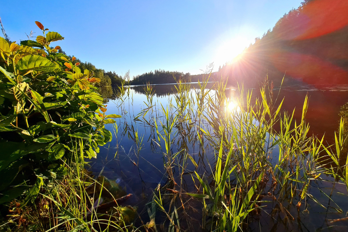 Consolados os que Choram