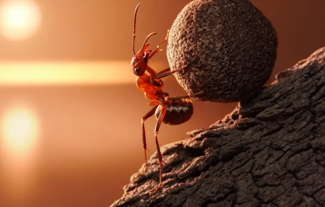 Diligência no Dia a Dia